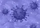 Mai mult de 10% din populația unei localitați din nordul Italiei, internată din cauza infectării cu norovirus