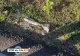 O nouă alertă la Marea Neagră. Resturi de dronă observate de pe plaja Modern din Constanța VIDEO