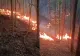Incendiu de proporţii în pădurile din județul Bihor. Pompierii luptă de trei zile cu flăcările care se extind cu repeziciune