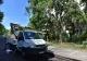 Tăieri și toaletări de arbori în Oradea, în perioada 5-9 octombrie. Vezi zonele unde se intervine