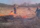 Sfaturile pompierilor bihoreni pentru prevenirea incendiilor de vegetație