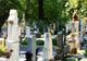 Peste 10.000 de locuri de veci expirate în Cimitirul Municipal Rulikowskic
