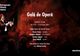 Gală de Operă la European Music Open