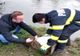 VIDEO: Lebădă epuizată și în imposibilitatea de a-și lua zborul, salvată de pompierii bihoreni