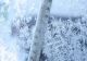 Frig și polei după ninsori: meteorologii anunță temperaturi de până la −7°C